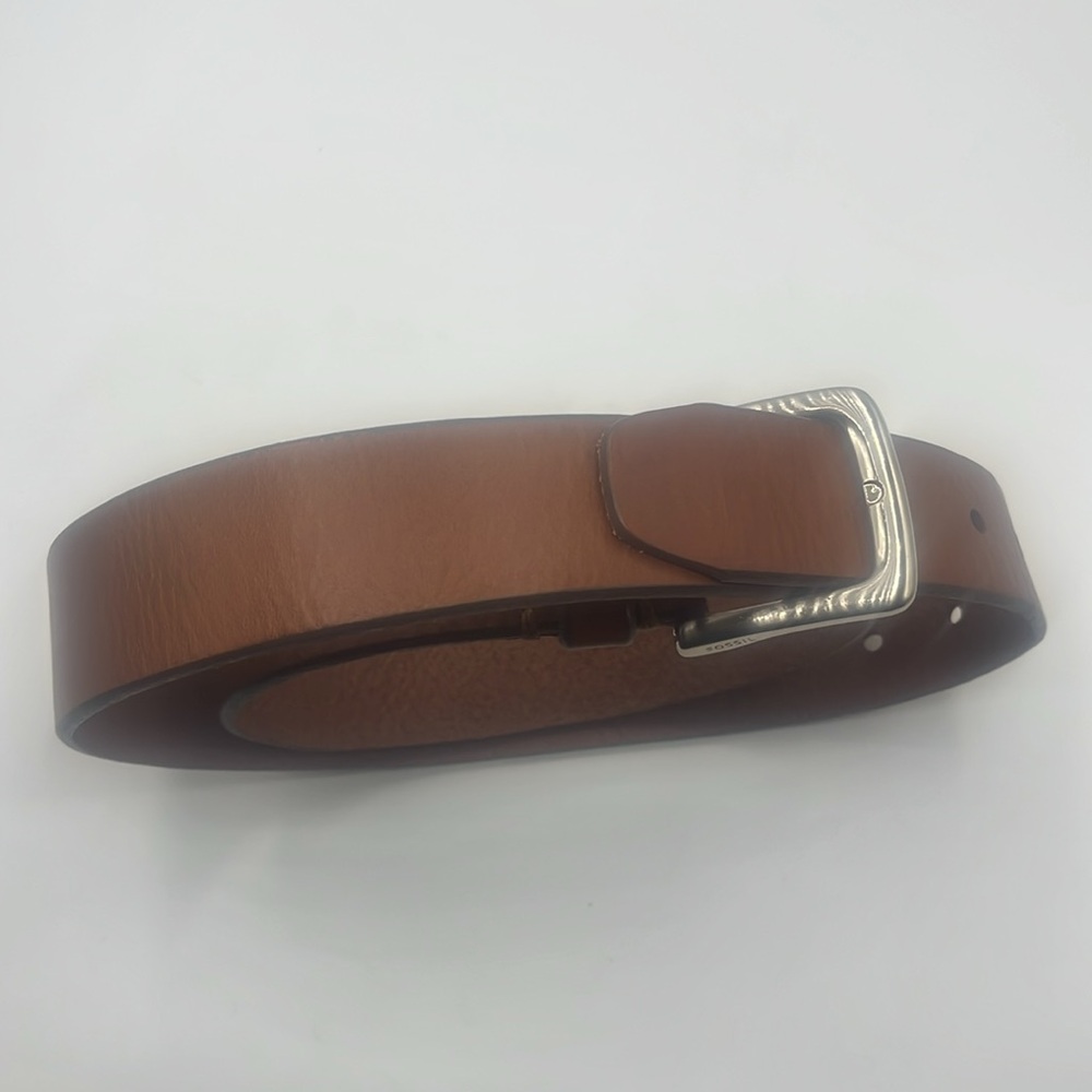 Fossil brown belt